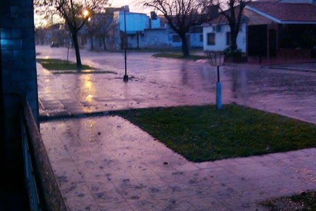 Foto Cristel Brn