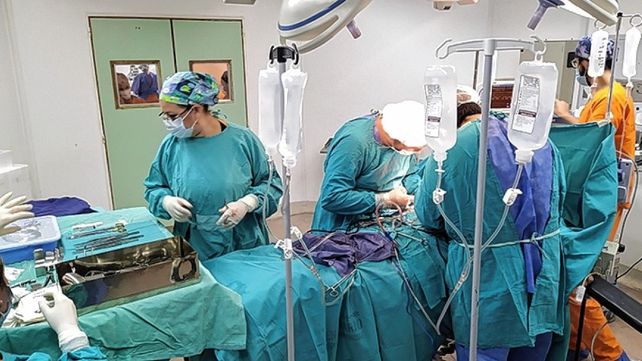 Donantes de órganos