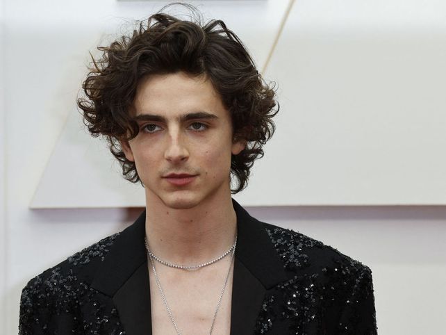 Timothée Chalamet hará del eterno Bob Dylan en una biopic.