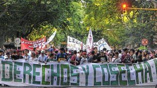 Cannabis en Argentina: avances y nuevos desafíos a casi una década de la ley