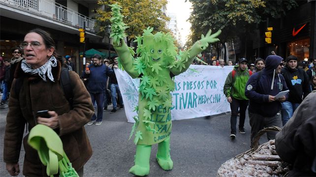 Especialistas disertarán este sábado en Rosario sobre las facultades medicinales de la marihuana. (Foto:&nbsp;Alfredo Celoria).