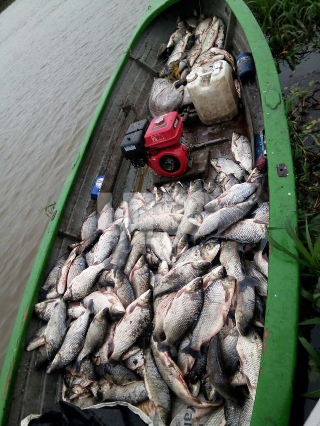 Secuestraron 699 kilos de pescados depredados en la zona de islas de Arroyo Leyes