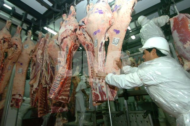 Entusiasmo. A pesar de los números negativos