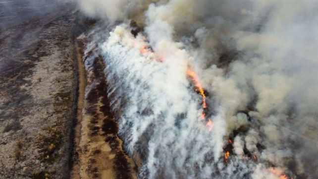 Los incendios en las islas del Delta provocaron hasta el momento la pérdida de cientos de miles de hectáreas y la muerte de miles de animales.
