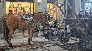Concepción del Uruguay: secuestraron un caballo tras un presunto caso de maltrato animal