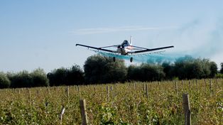 Diputados debatiría hoy dos proyectos para reformar la ley sobre agroquímicos