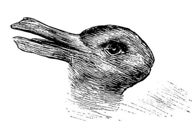 Te desafiamos con este test: ¿Qué animal ves aquí?