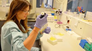 La entidad incorporará a más de 200 profesionales que acrediten doctorado en áreas científico-tecnológicas de punta en el sistema agrobioindustrial