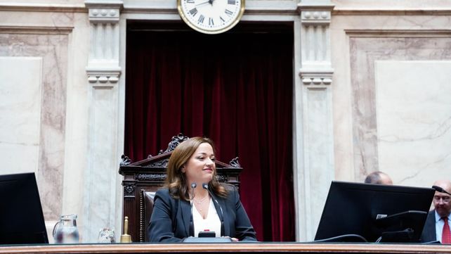 La Presidenta de la Cámara de Diputados