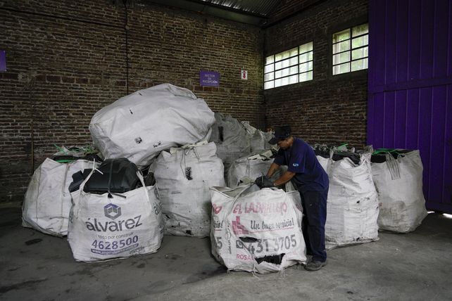 Una parte de lo ganado tras la comercialización sirve para sostener la cooperativa. Lo demás se divide de manera equitativa.&nbsp;