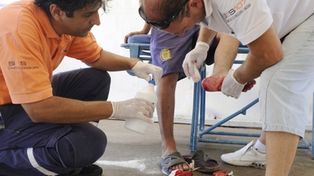 Las imágenes del ataque de palometas en Rosario dieron la vuelta al mundo