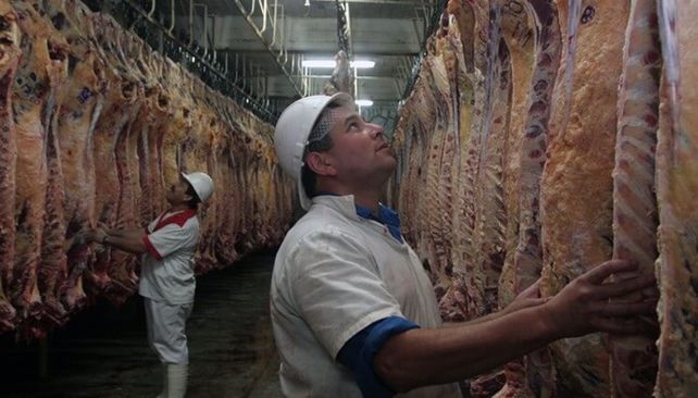 Adiós de la media res: ¿cómo impactará en Santa Fe el nuevo sistema de comercialización de la carne?