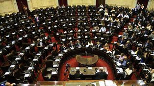 Diputados dio media sanción a la legalización del aborto