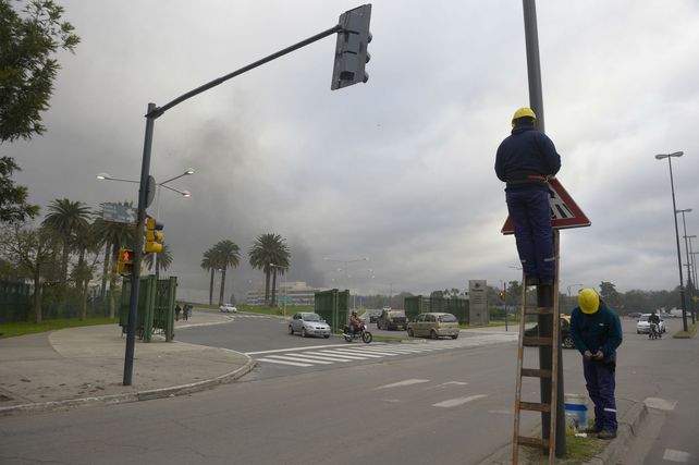 Operarios de la Intendencia trabajaban ayer instalando carteles y plantines