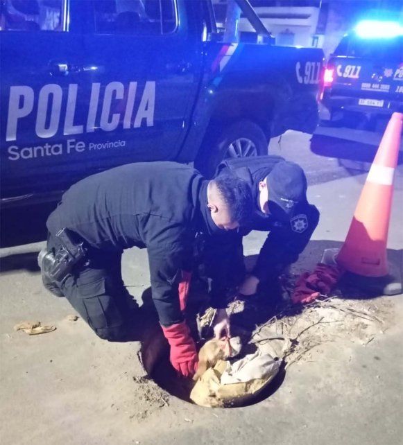 Empalme Graneros: rescataron a un perrito que se había caído en una boca de tormenta