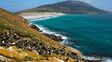 Optimismo de Faurie sobre las negociaciones por Malvinas