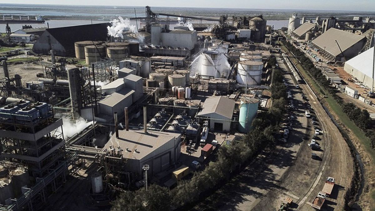 Cómo se llegó a la expropiación de Vicentín