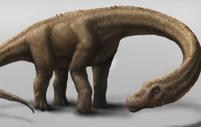 El animal medía 26 metros de longitud y pesaba 59.300 kilogramos.