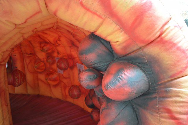 Colon Inflable. Grupo Gamma