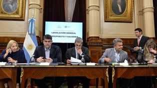 El plenario de comisiones en el Senado analizando la ley de alquileres.