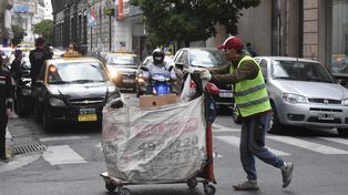 Trabajo en la calle. El municipio encuestó 503 recicladores urbanos.