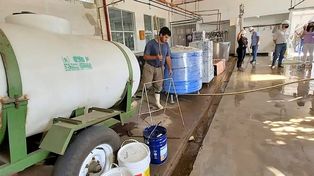 Emprendimiento. Tiene como propósito envasar y pasteurizar leche cruda proveniente de tambos familiares productores de la región.