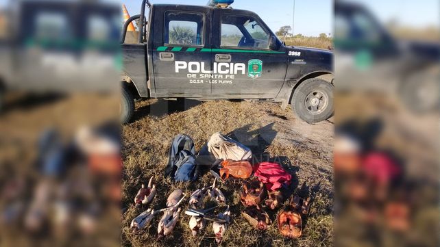 Secuestraron especies autóctona de caza prohibida