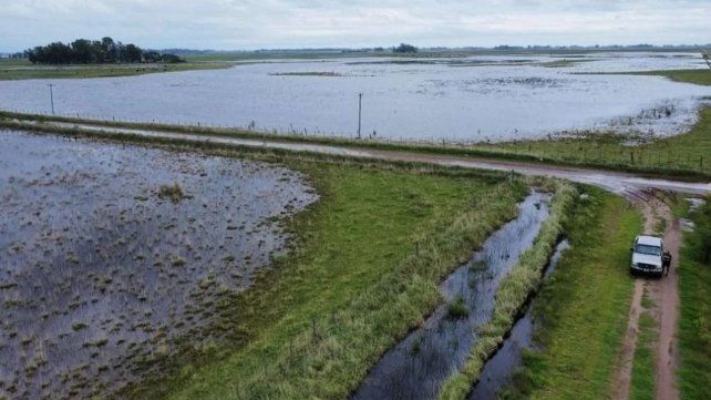 La Comisión Provincial de Emergencia Agropecuaria recomiendan declararla en 16 localidades