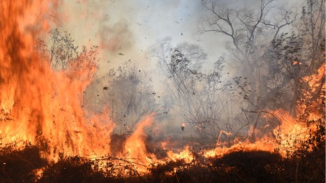 Declaran la emergencia ígnea en todo el territorio argentino por un año