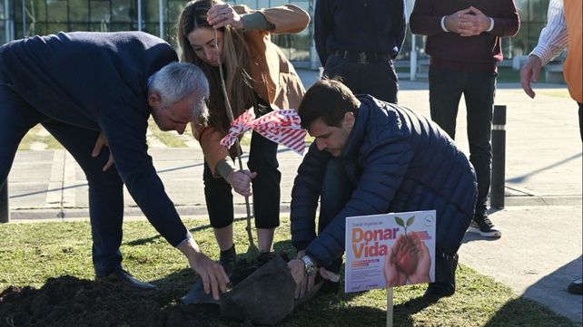 Se plantarán 1.300 árboles en honor a los 1.300 santafesinos que