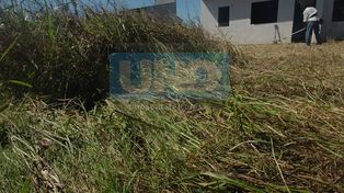 Aún con miedo a la represión, la usurpación se sostiene firme