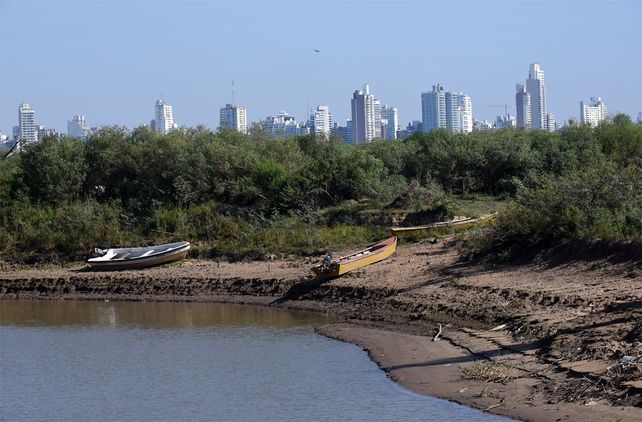 La duración de la bajante del Paraná causa preocupación por le perjuicio que causa a la flora y la faunta del delta.