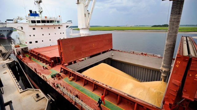 Exportaciones de granos podrían caer 33% por la sequía