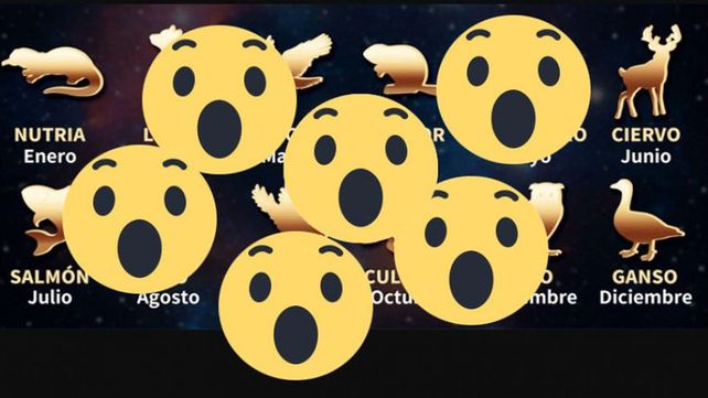 Crean un nuevo horóscopo que te canta la posta: mirá qué signo sos