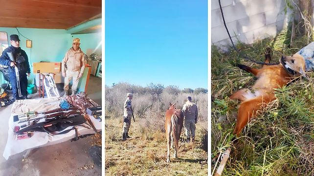 Allanamientos de personal de Delitos Rurales secuestran armas