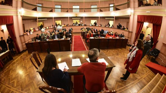 Alicia frente a los Diputados.&nbsp;