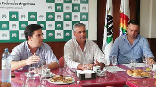 Desde AFA aseguran: Hay que dejarlos caminar un poquito