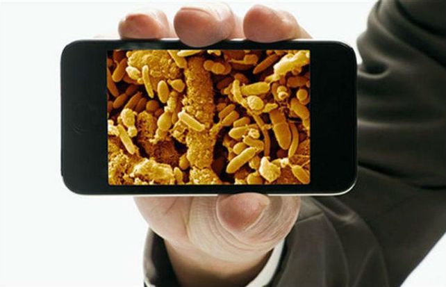 Las pantallas de los smartphones pueden contener hasta 600 bacterias