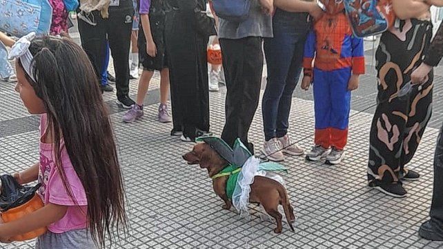 Halloween gana terreno en Paraná y el país con disfraces, fiestas y actividades para toda la familia