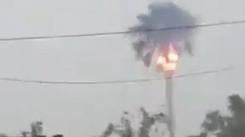 Video: un rayo impactó sobre una palmera en plena tormenta y terminó en llamas Video: un rayo impactó sobre una palmera en plena tormenta y terminó en llamas