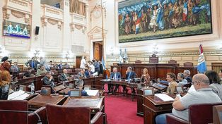 Rimoldi dijo que analizará con el gobernador la posible renuncia de Ana Morel