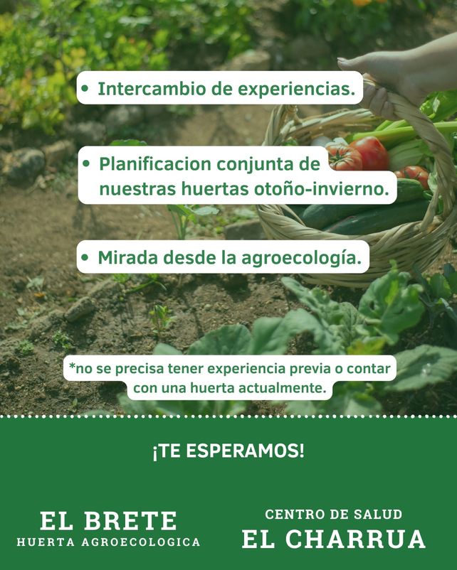 Ronda Huertera: proyecto de saberes y semillas en el este de Paraná