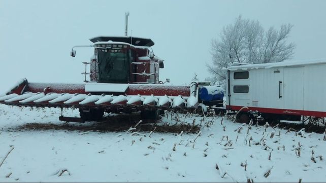 La postal de una cosechadora y casilla de un contratista cubiertas de nieve en la zona de Río Cuarto (Foto gentileza Germán Tinari)