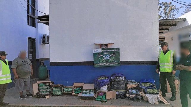 En dos camiones llevaban 128 kilos de hojas de coca y astas de ciervos