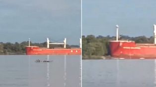Desde Prefectura confirmaron el extraño choque del barco contra una orilla del río en la zona de Zárate.