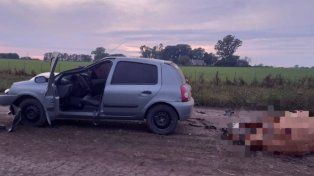 Un joven conductor chocó un caballo que estaba suelto en un camino rural. Sucedió esta mañana en General Ramírez.