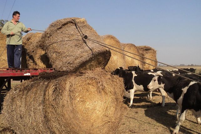 La provincia da respuesta a los productores agropecuarios afectados por la sequía