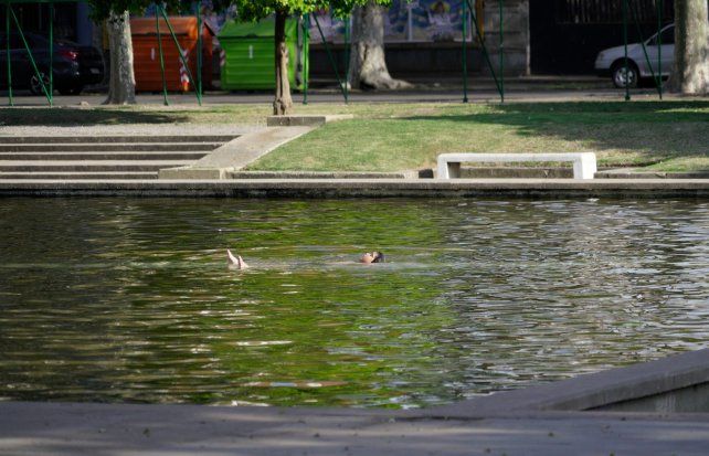 El tiempo en Rosario: miércoles caluroso con algunas chances de tormentas