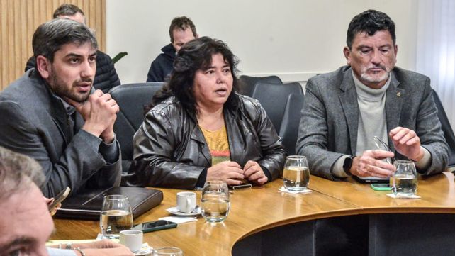 El proyecto de sostenibilidad de deuda pública que trata el Senado autoriza al Ejecutivo a concretar operaciones financieras de crédito hasta 500 millones de dólares&nbsp;
