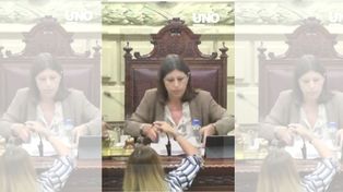 El momento en que Amalia Granata le quita el micrófono a la presidenta del cuerpo, Clara García.